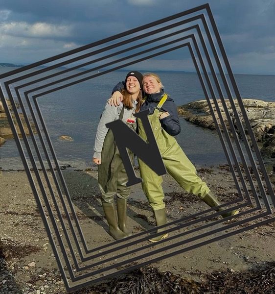 چکمه ماهیگیری تا سینه رنگ سبز لجنی ایمن ابزار نیک